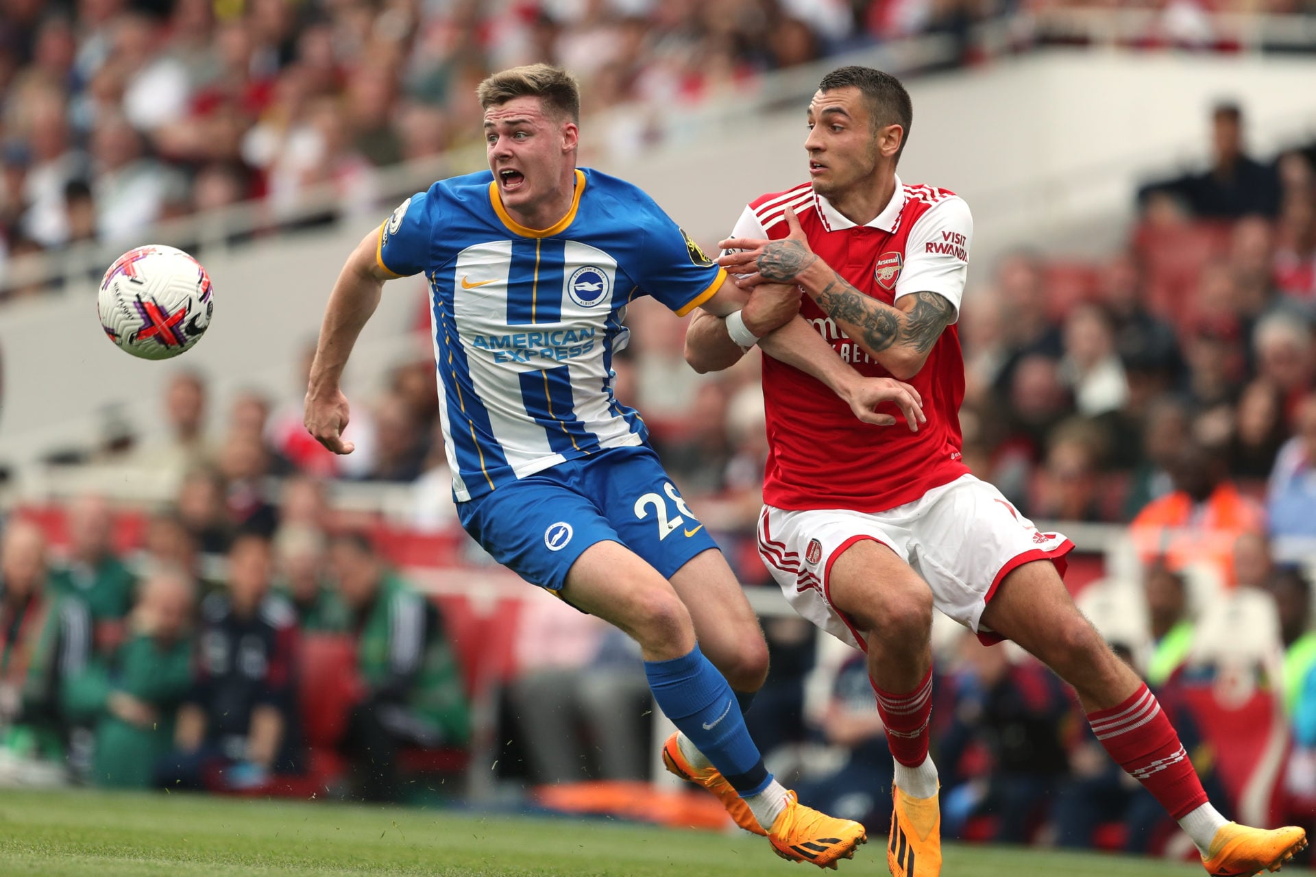 Arsenal FC v Brighton & Hove Albion - Premier League