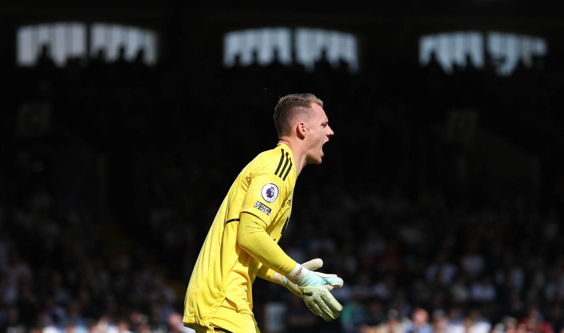 Fulham FC v Crystal Palace - Premier League