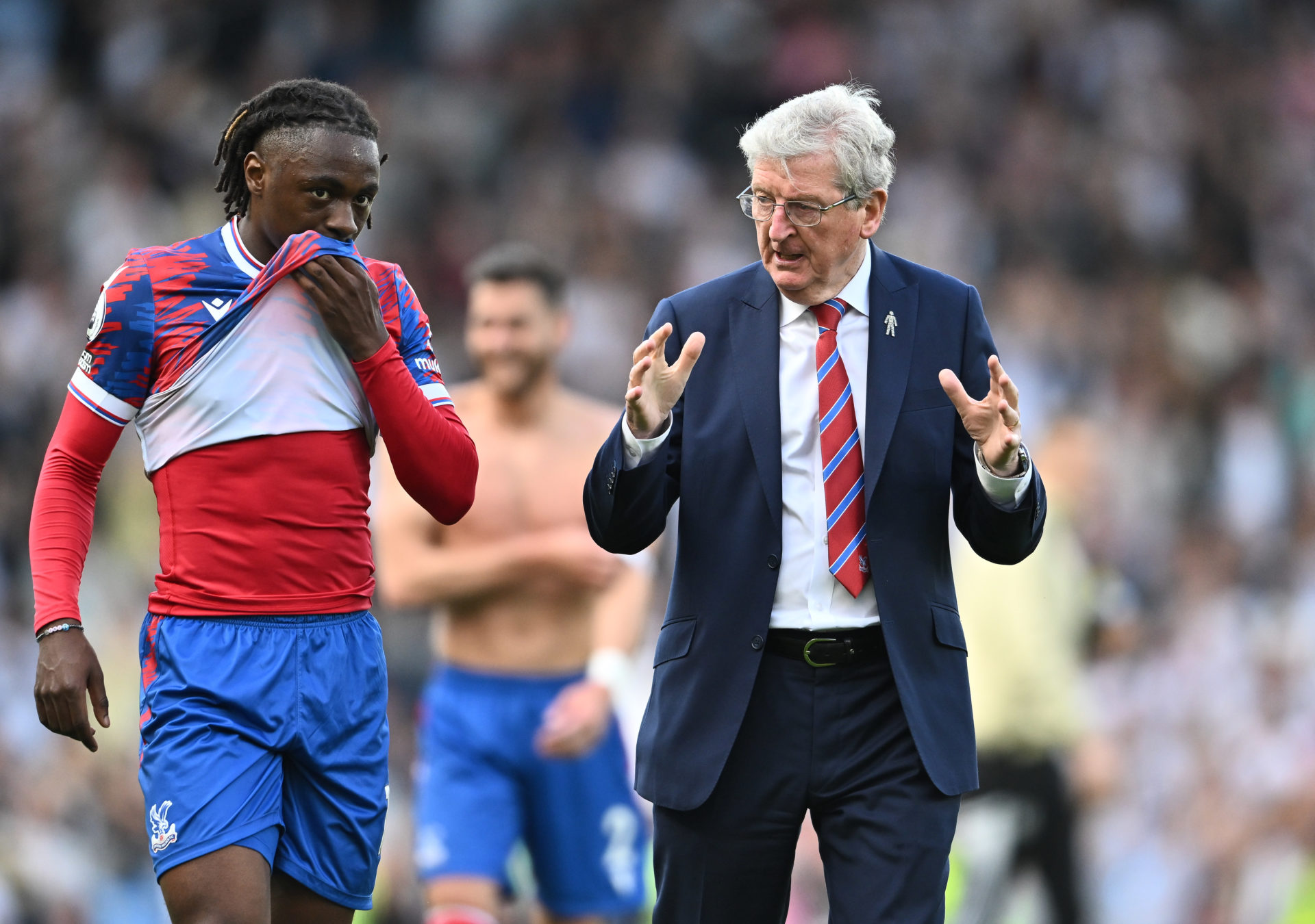 Fulham FC v Crystal Palace - Premier League