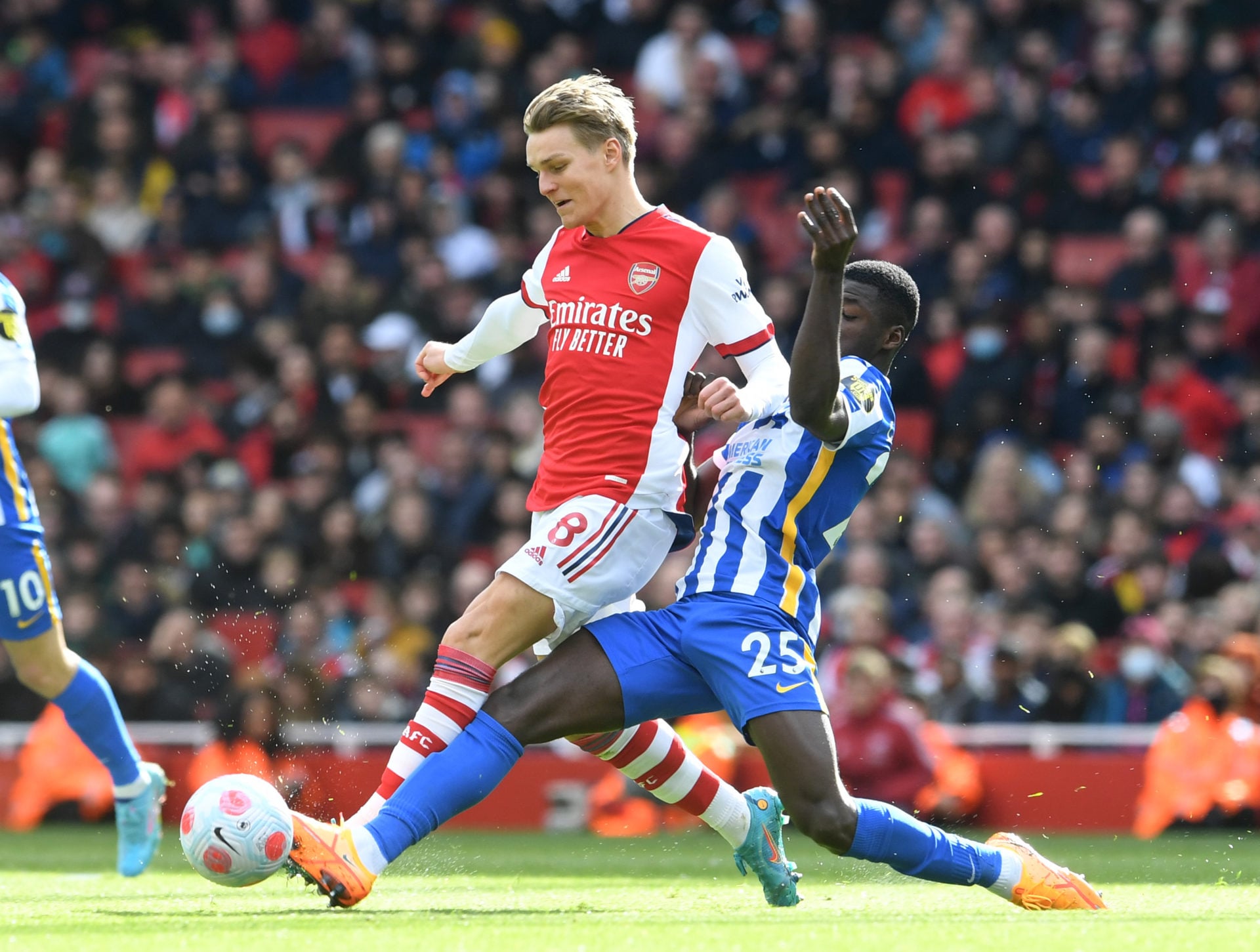 Arsenal v Brighton & Hove Albion - Premier League