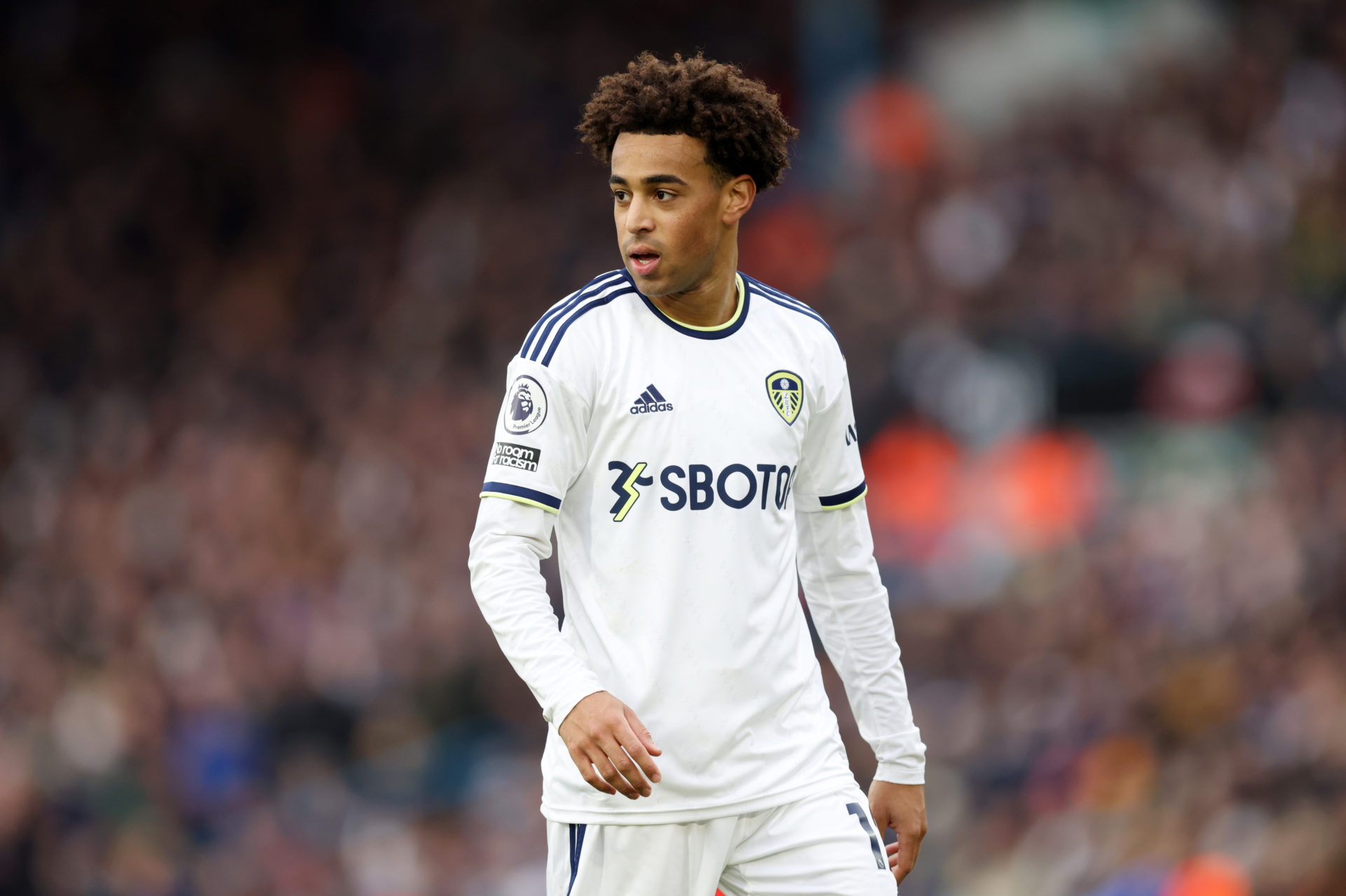 Tottenham Tyler Adams