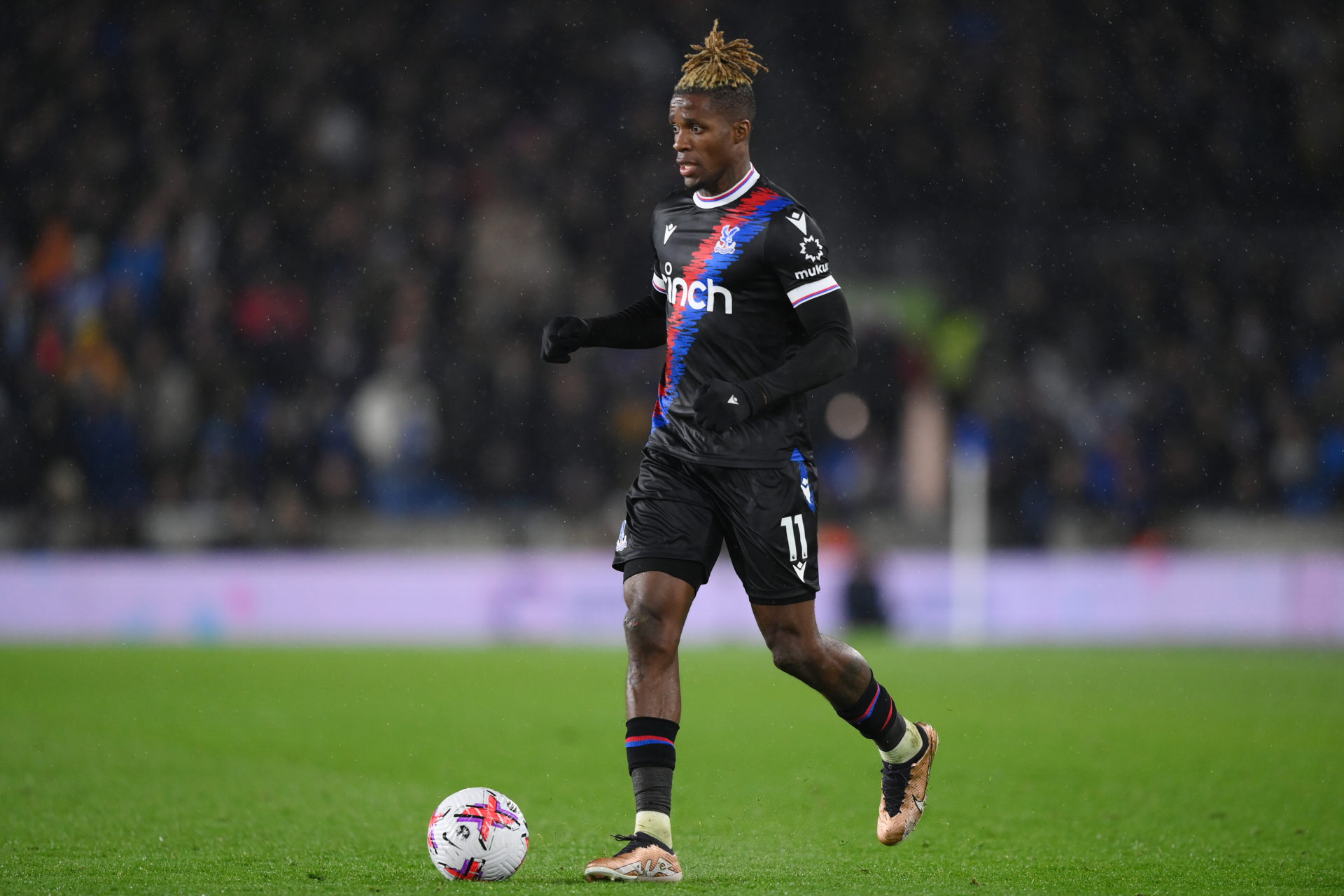 Brighton & Hove Albion v Crystal Palace - Premier League