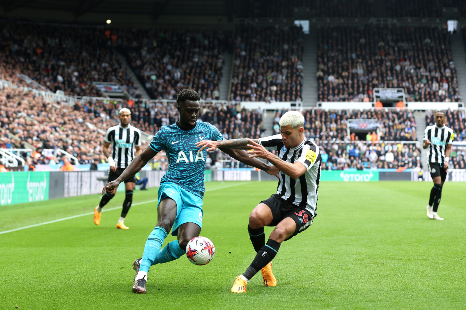 Newcastle United v Tottenham Hotspur - Premier League