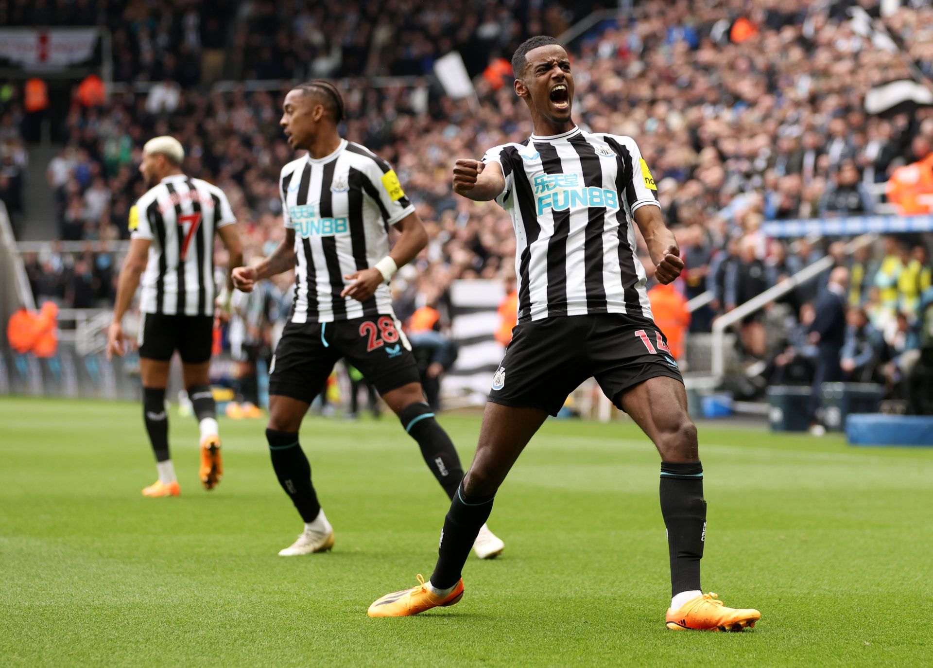 Newcastle United v Tottenham Hotspur - Premier League