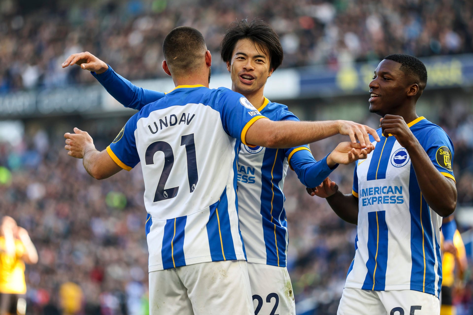 Brighton & Hove Albion v Wolverhampton Wanderers - Premier League