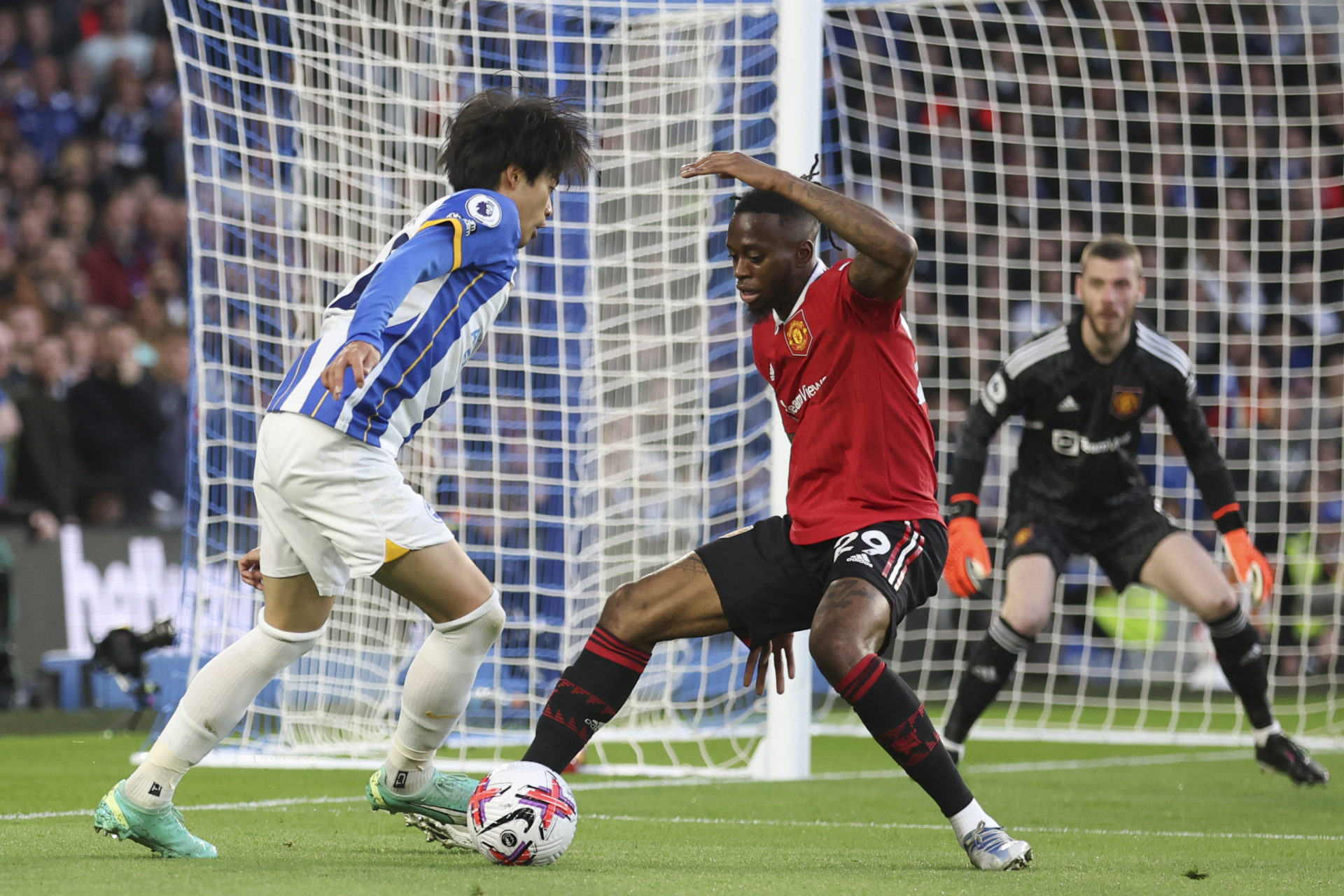Brighton & Hove Albion v Manchester United - Premier League