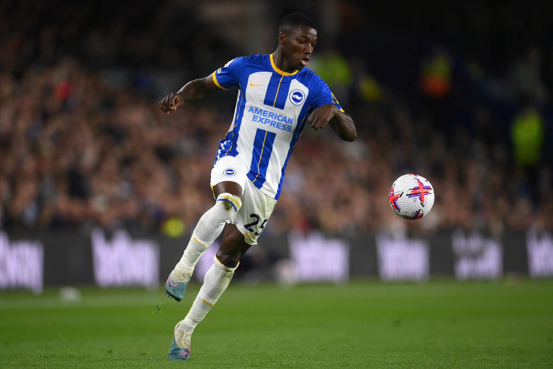 Brighton & Hove Albion v Manchester United - Premier League