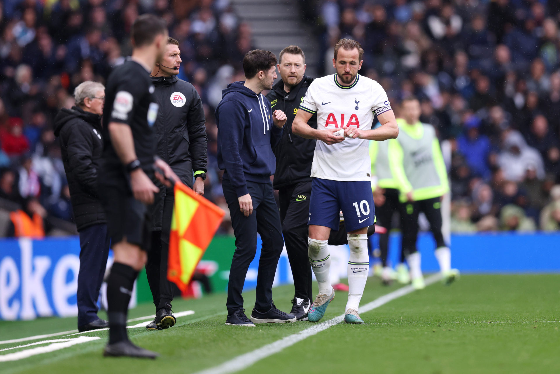 Tottenham Hotspur v Crystal Palace - Premier League