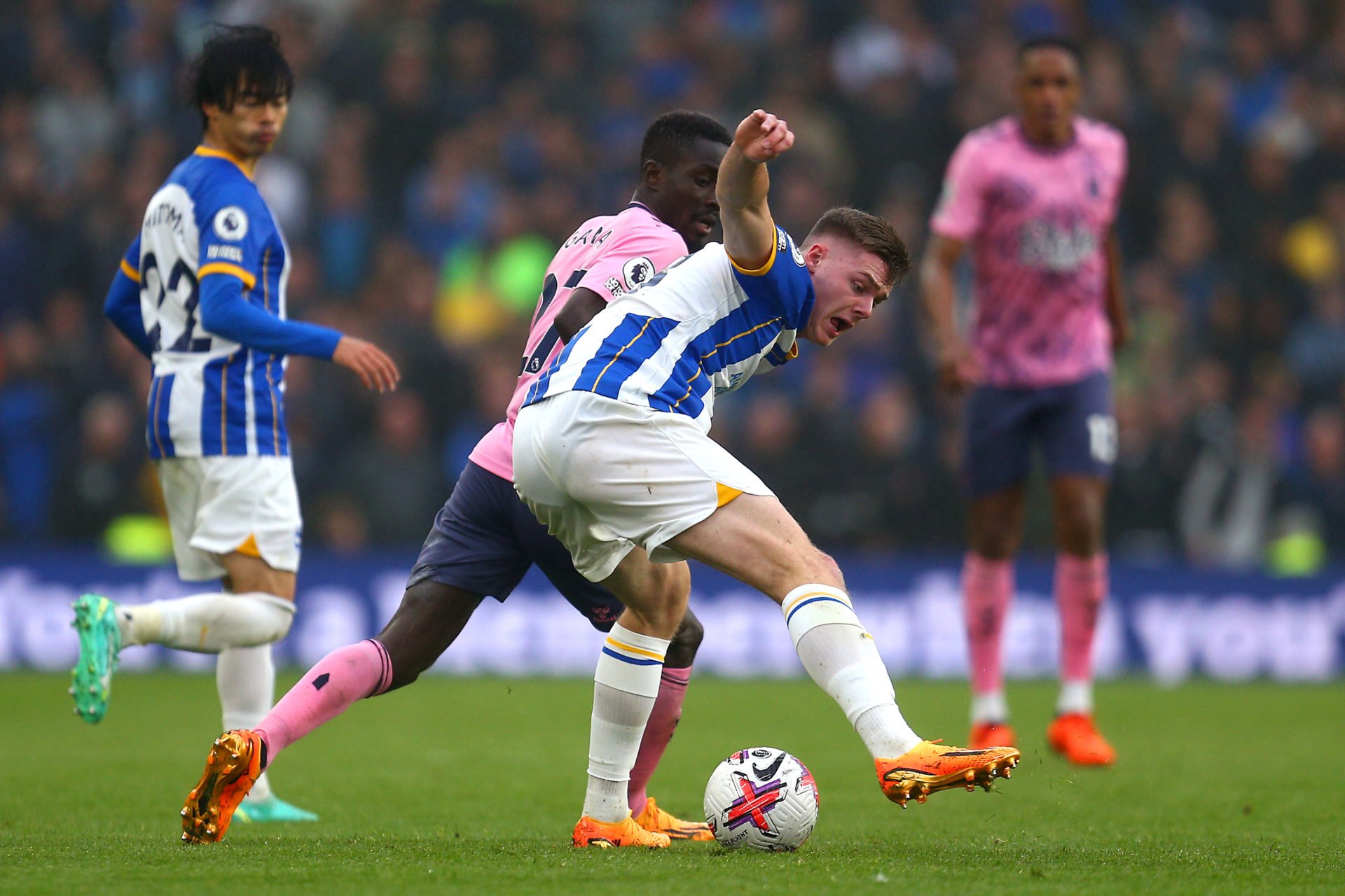 Brighton & Hove Albion v Everton FC - Premier League