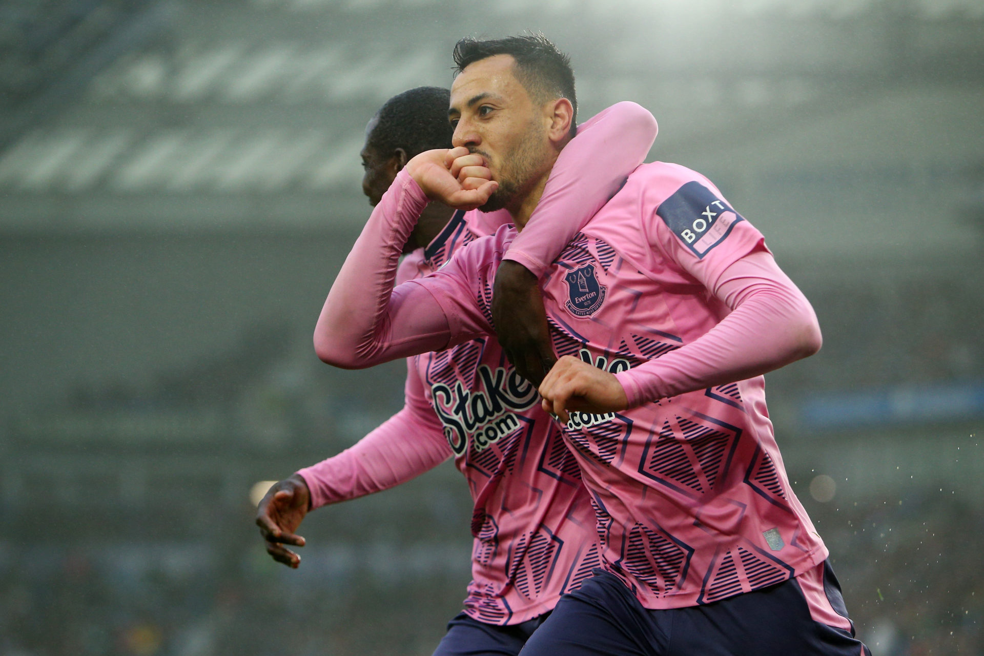 Brighton & Hove Albion v Everton FC - Premier League