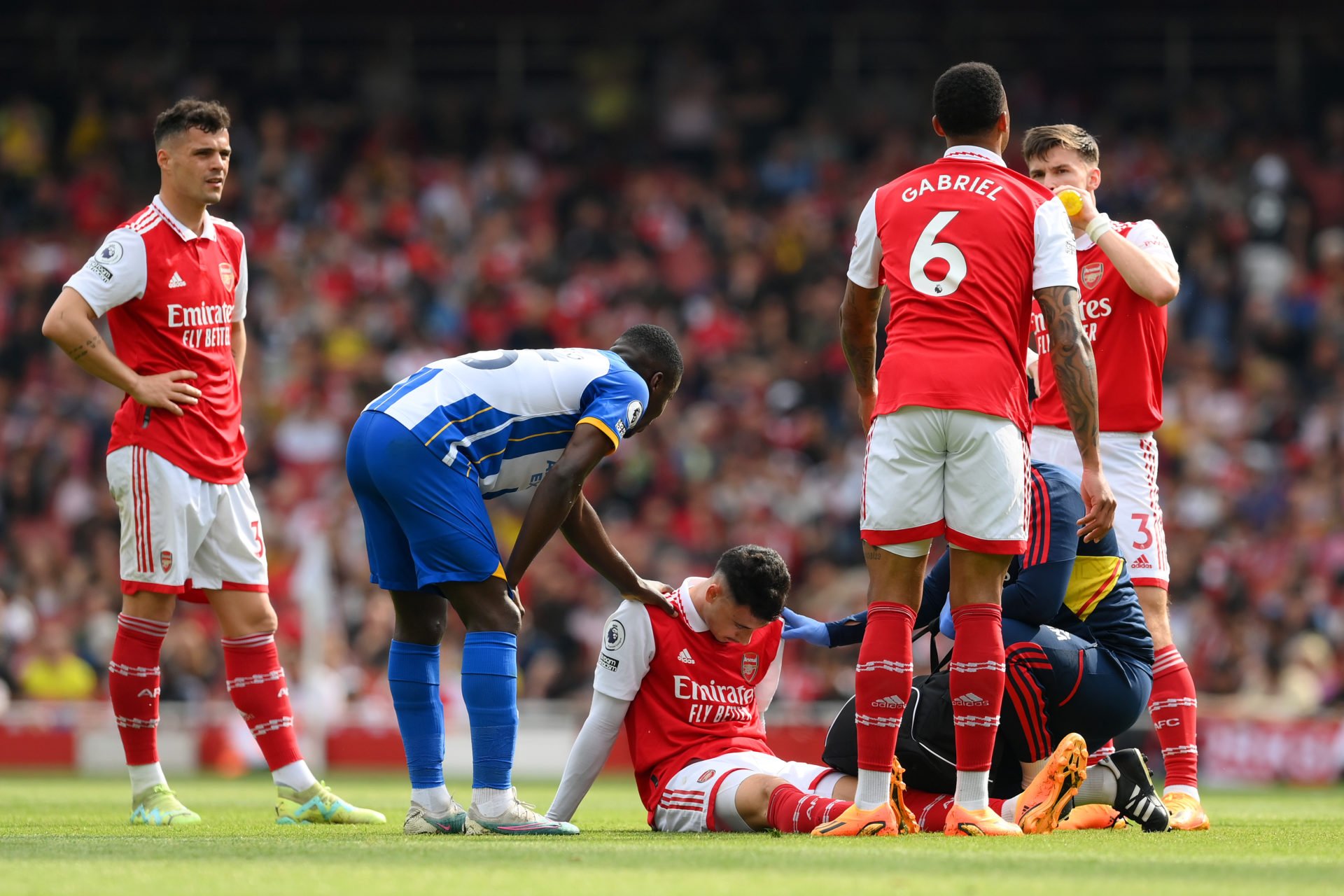 Arsenal FC v Brighton & Hove Albion - Premier League