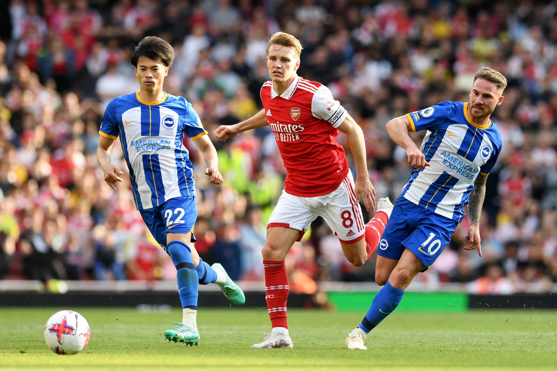 Arsenal FC v Brighton & Hove Albion - Premier League