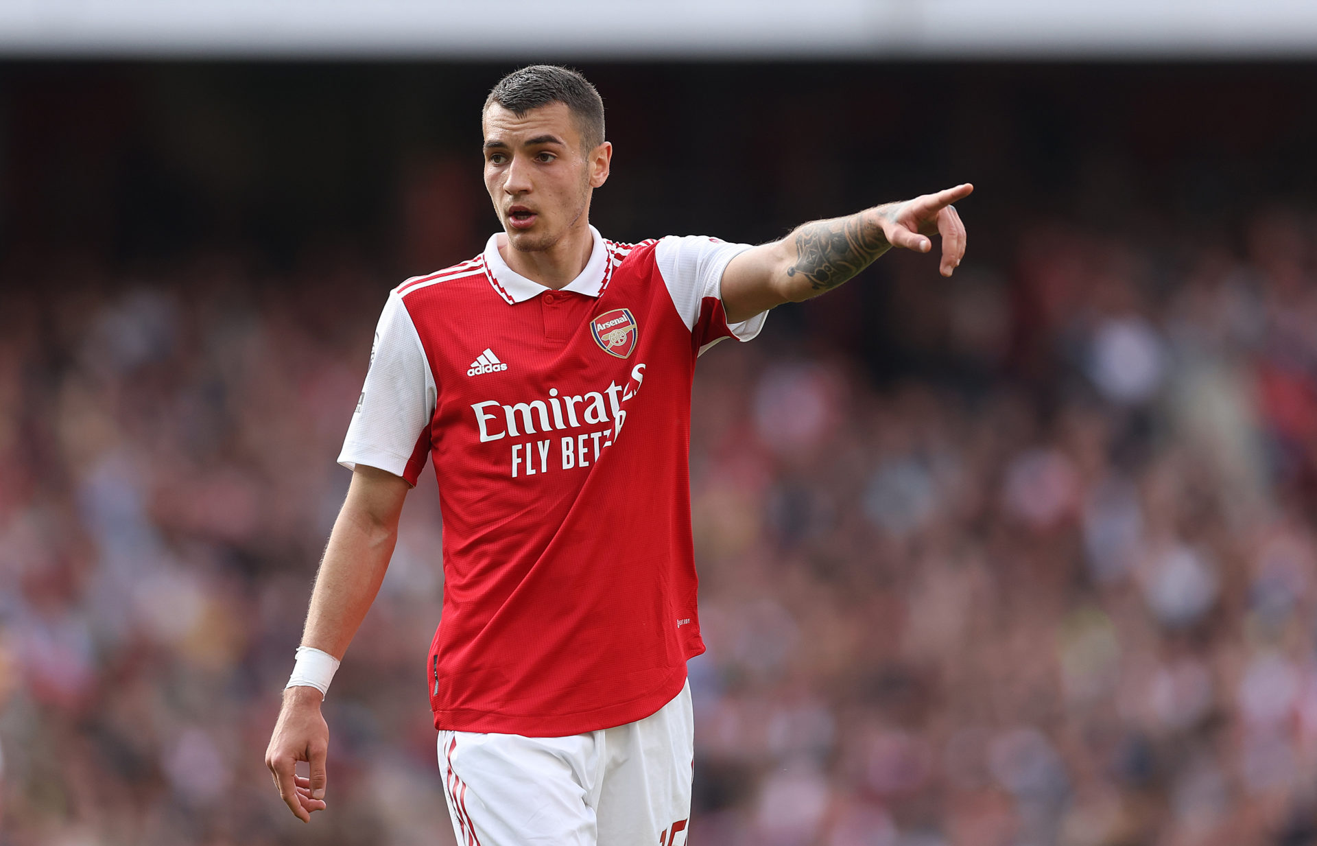 Arsenal FC v Brighton & Hove Albion - Premier League