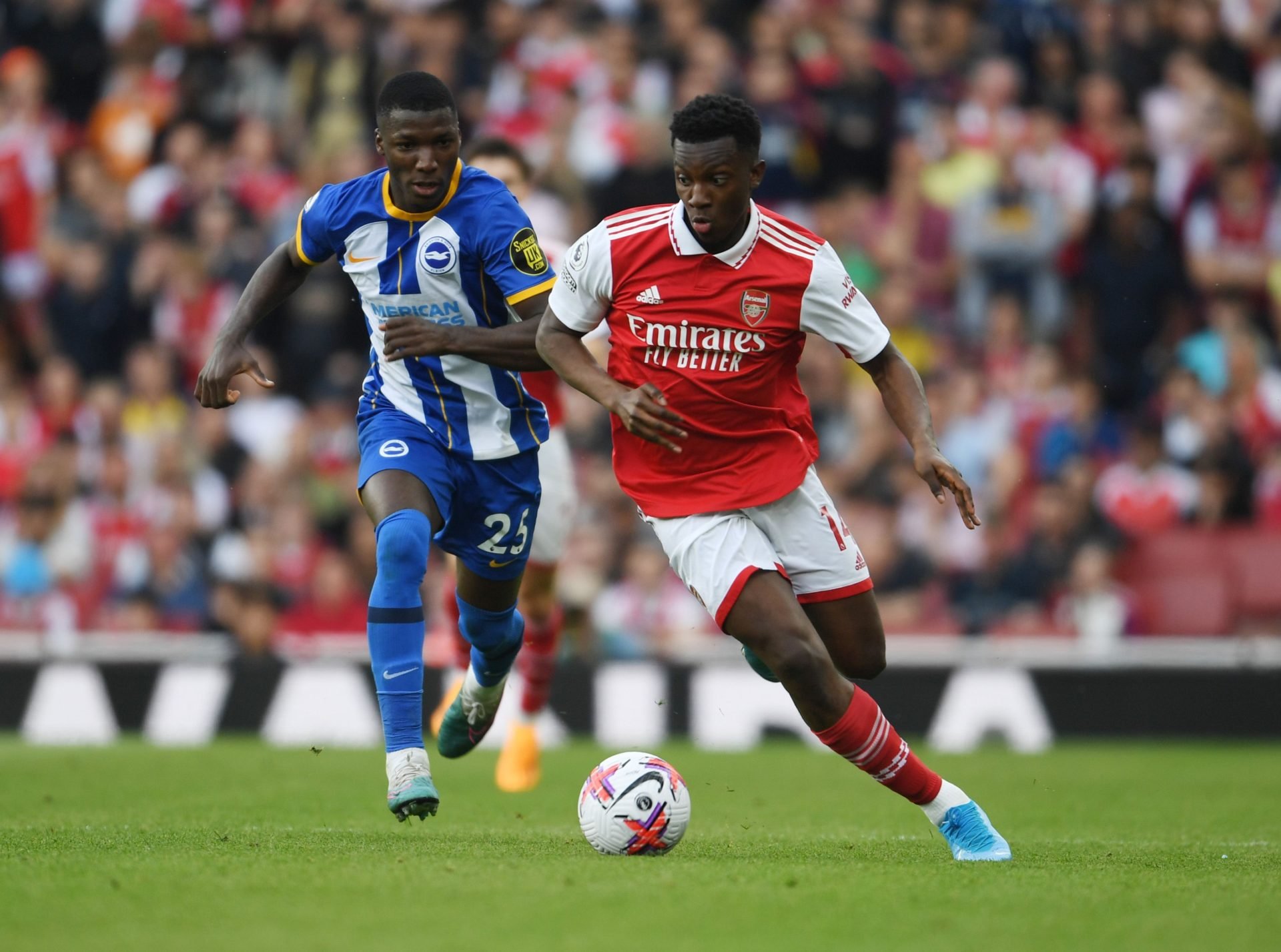 Arsenal FC v Brighton & Hove Albion - Premier League