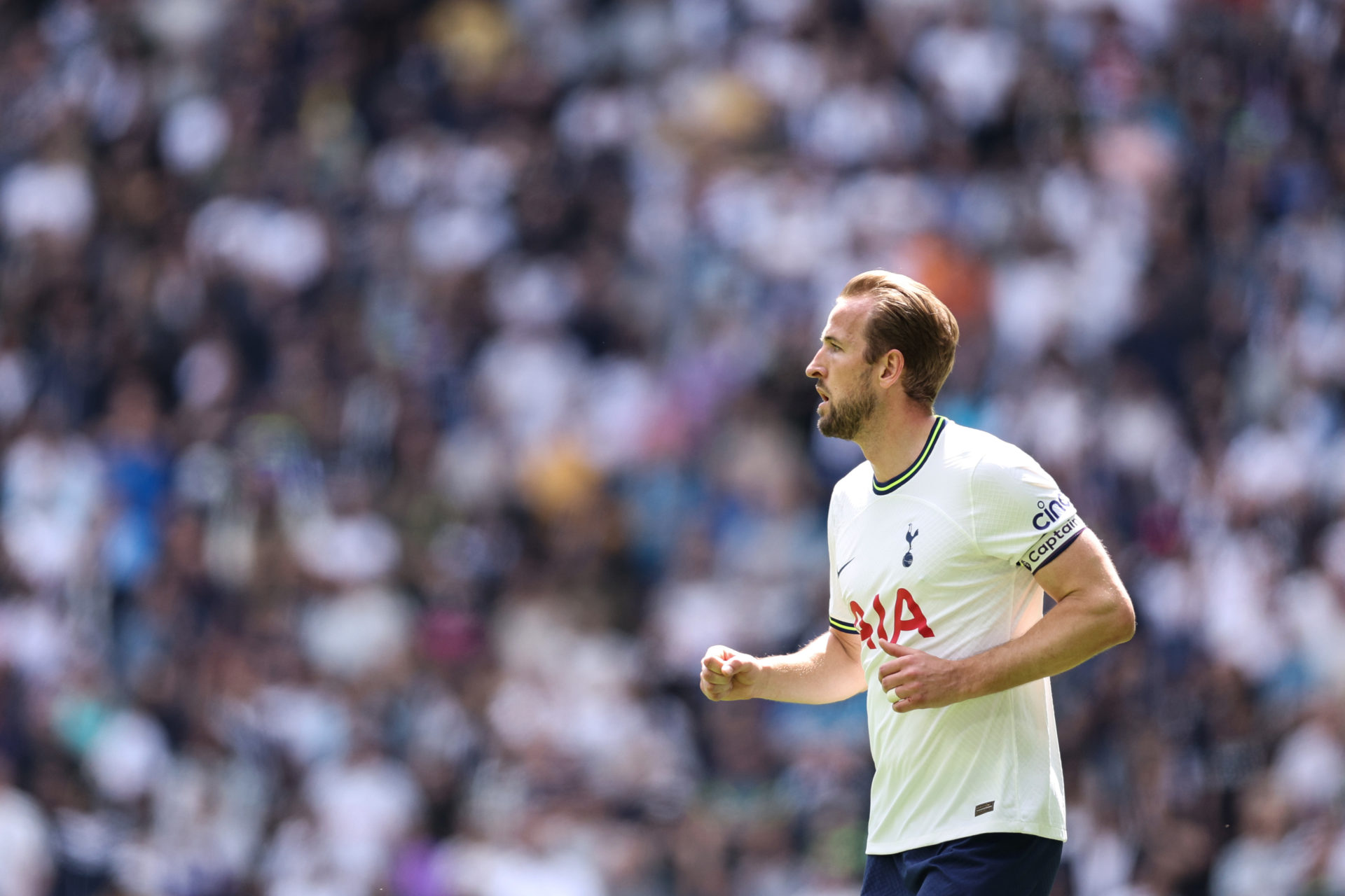 Tottenham Hotspur v Brentford FC - Premier League