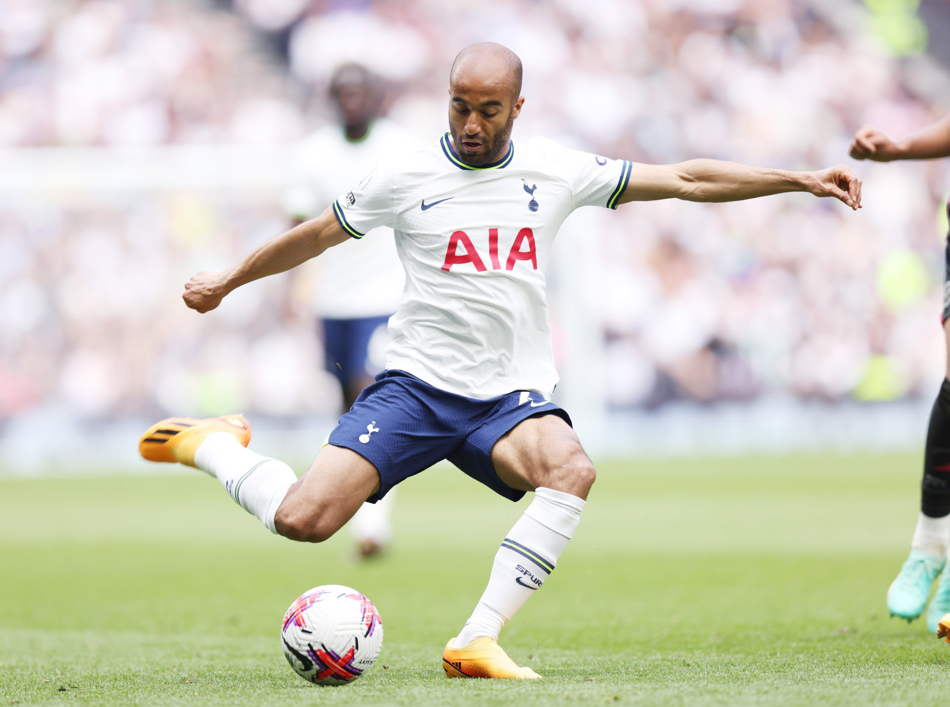 Tottenham Hotspur v Brentford FC - Premier League