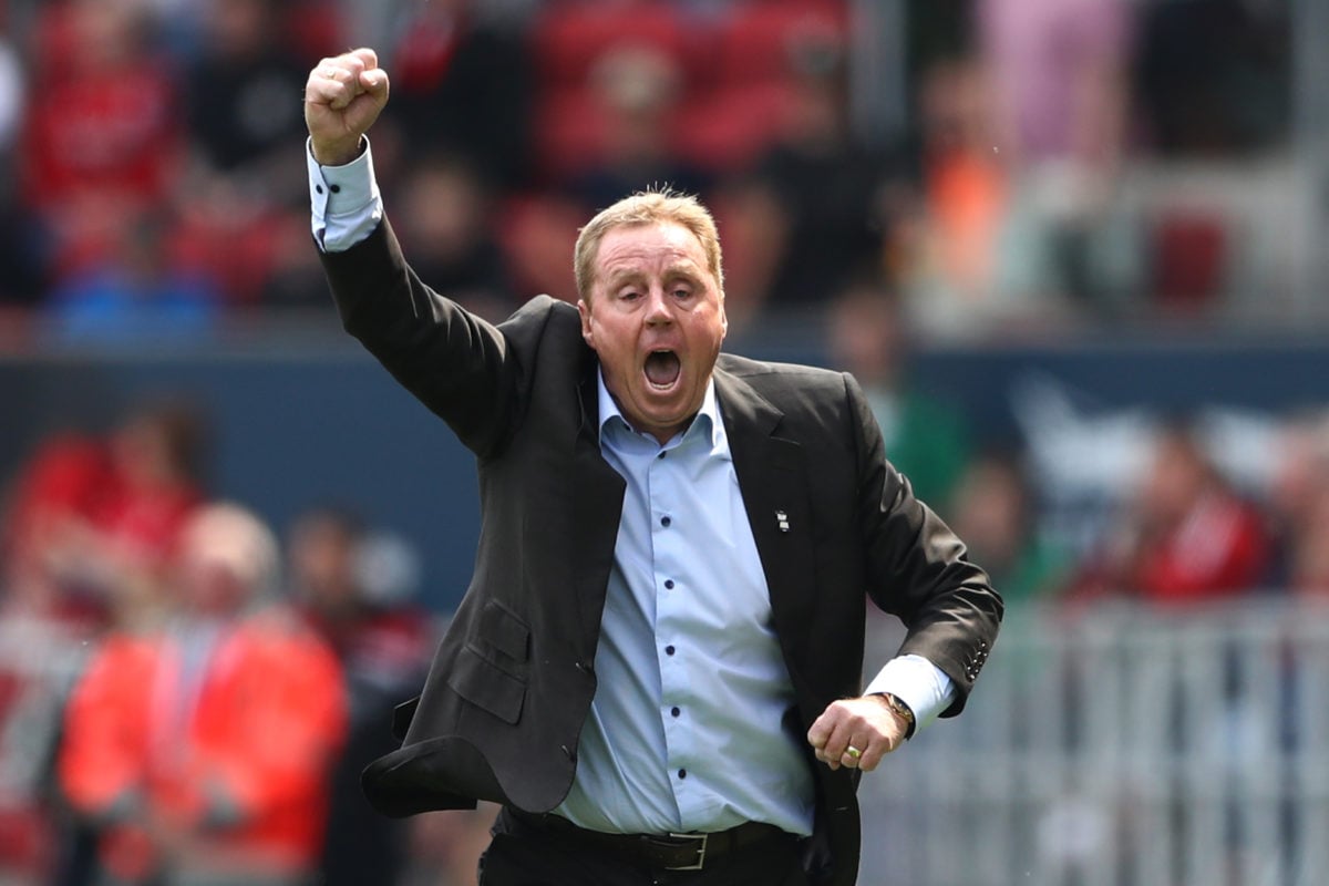 Harry Redknapp raves about 49-year-old manager who Tottenham reportedly want