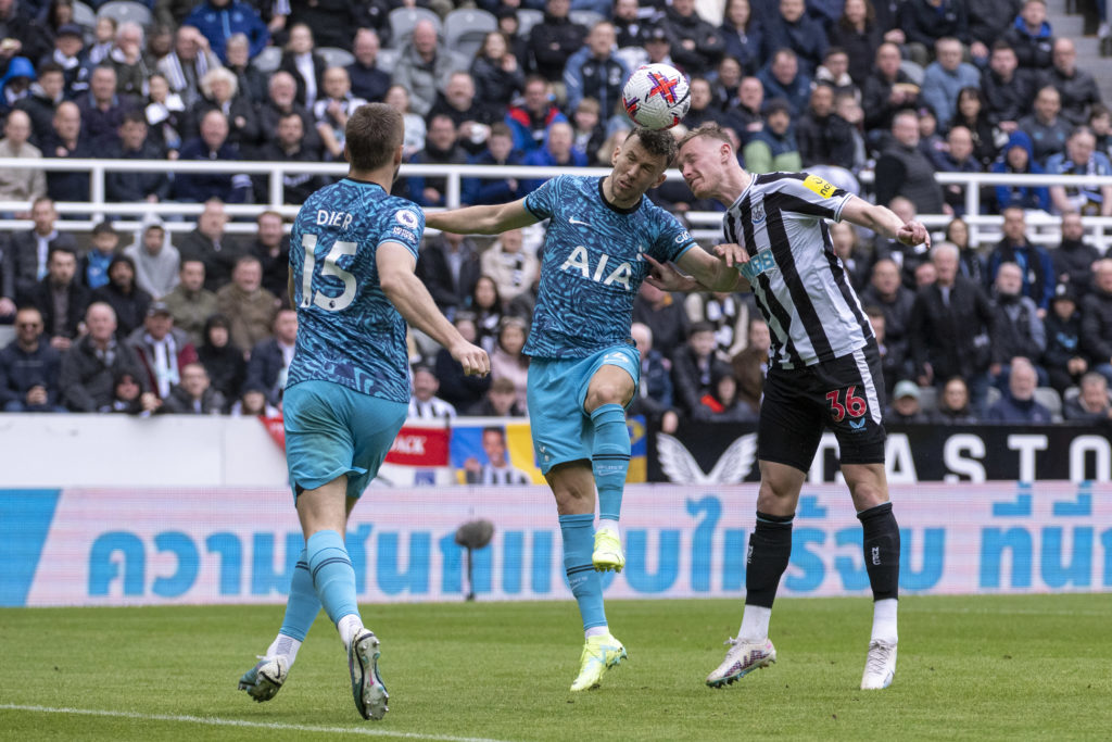 Newcastle United v Tottenham Hotspur - Premier League