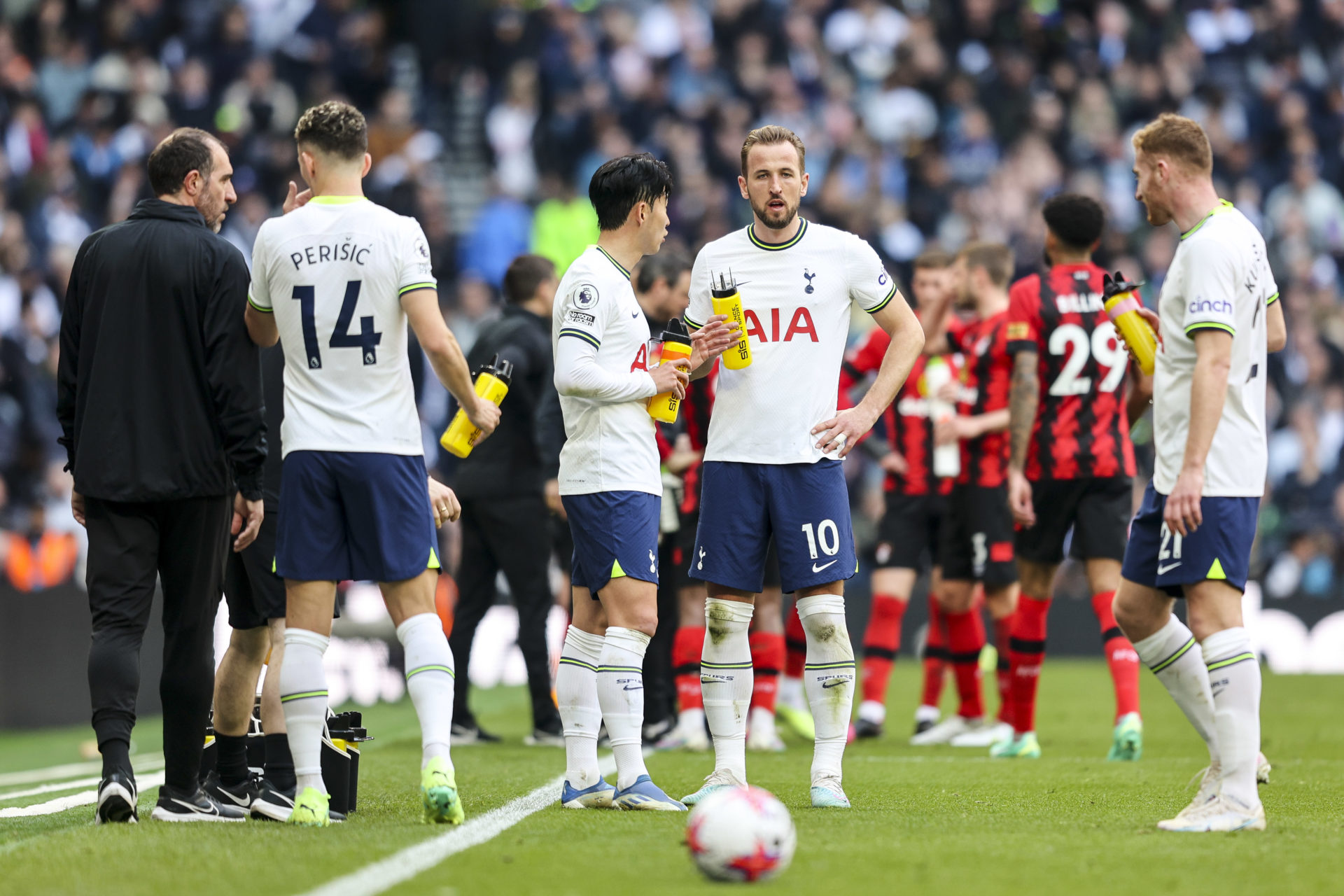 Tottenham Hotspur v AFC Bournemouth - Premier League