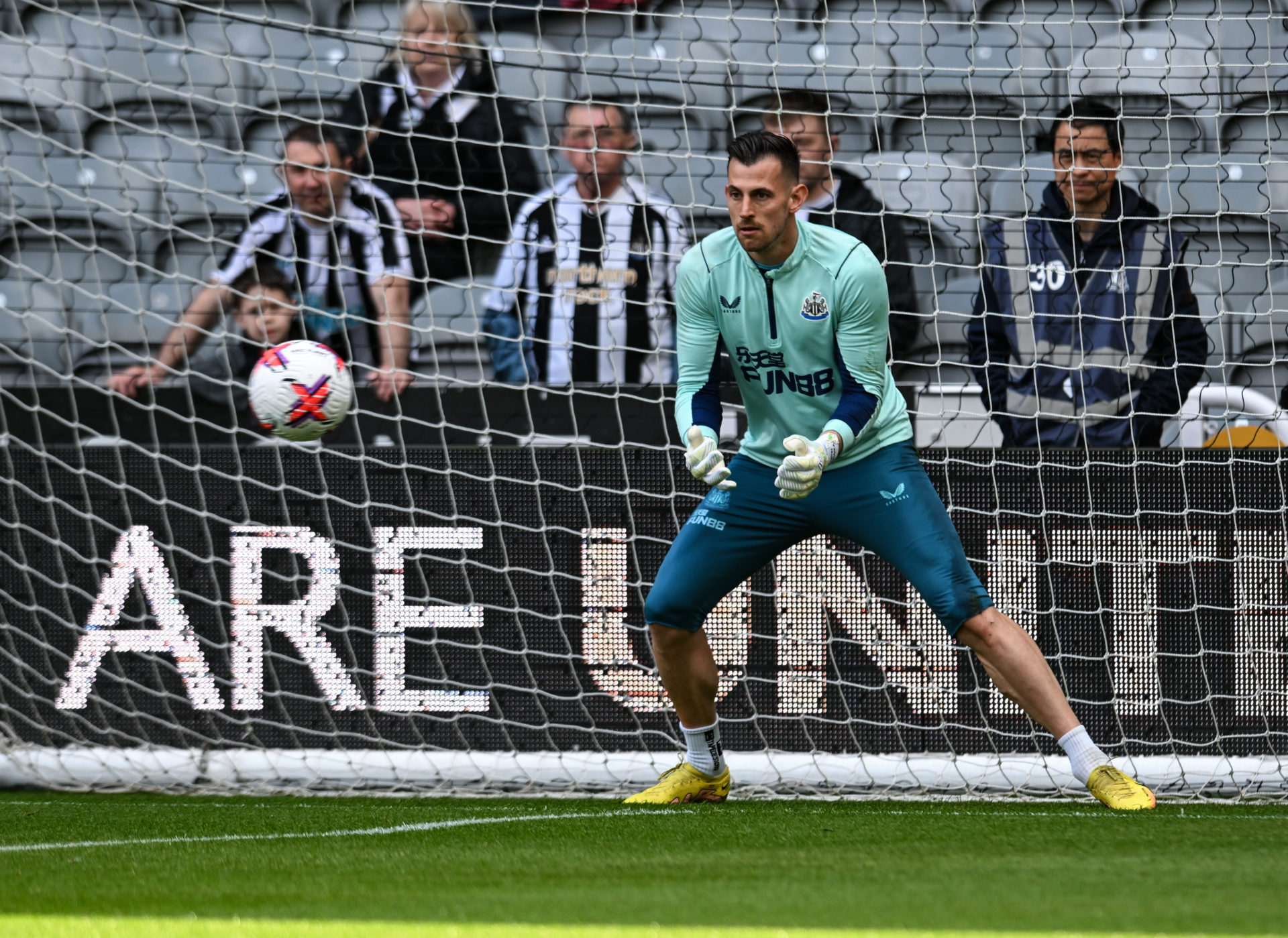 Newcastle United v Tottenham Hotspur - Premier League