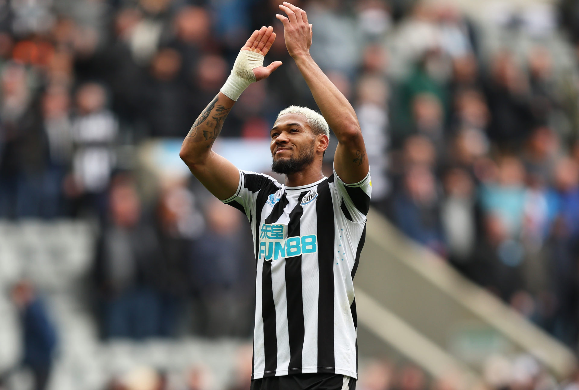 Newcastle United v Southampton FC - Premier League