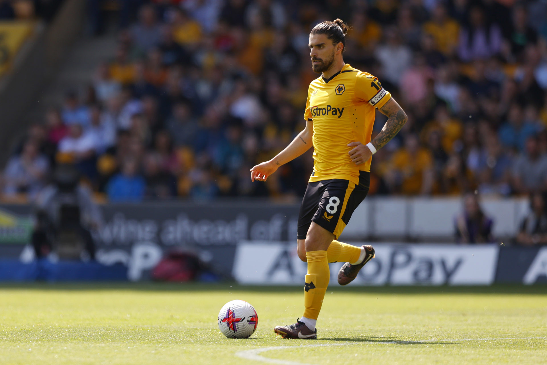 Wolverhampton Wanderers v Everton FC - Premier League