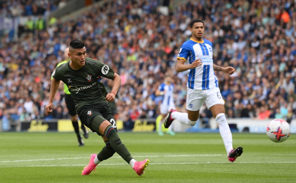 Brighton & Hove Albion v Southampton FC - Premier League