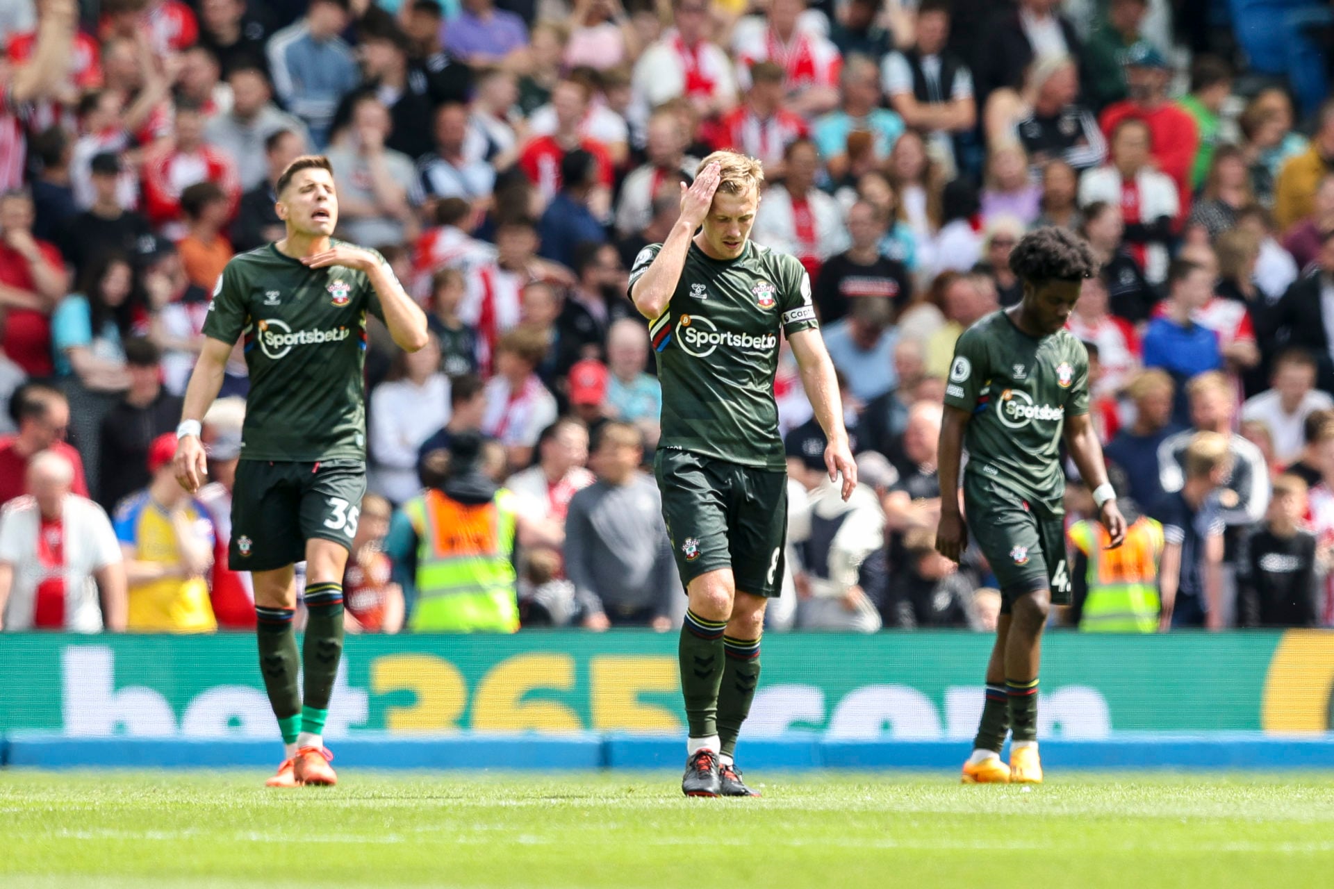 Brighton & Hove Albion v Southampton FC - Premier League