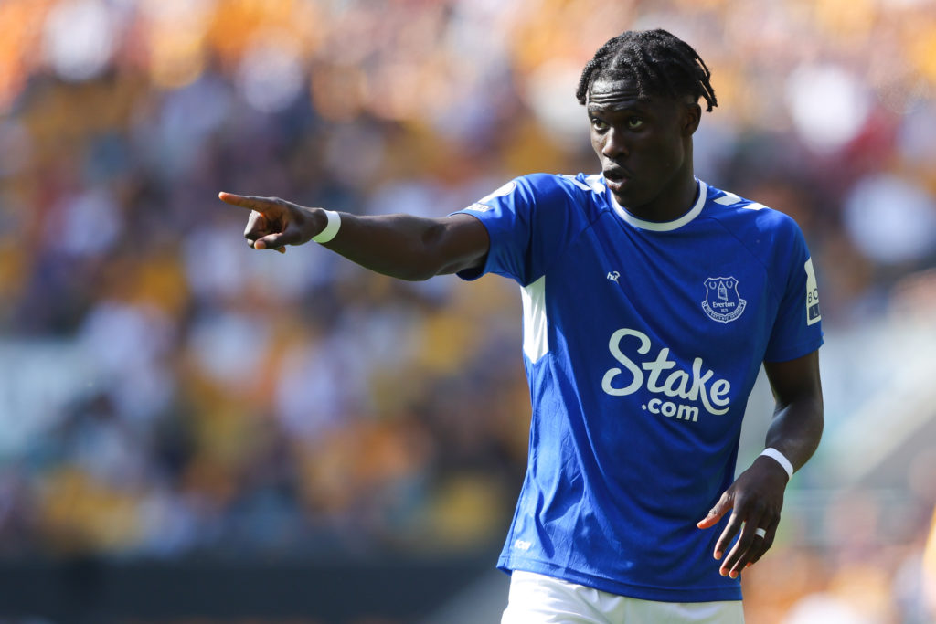 Wolverhampton Wanderers v Everton FC - Premier League