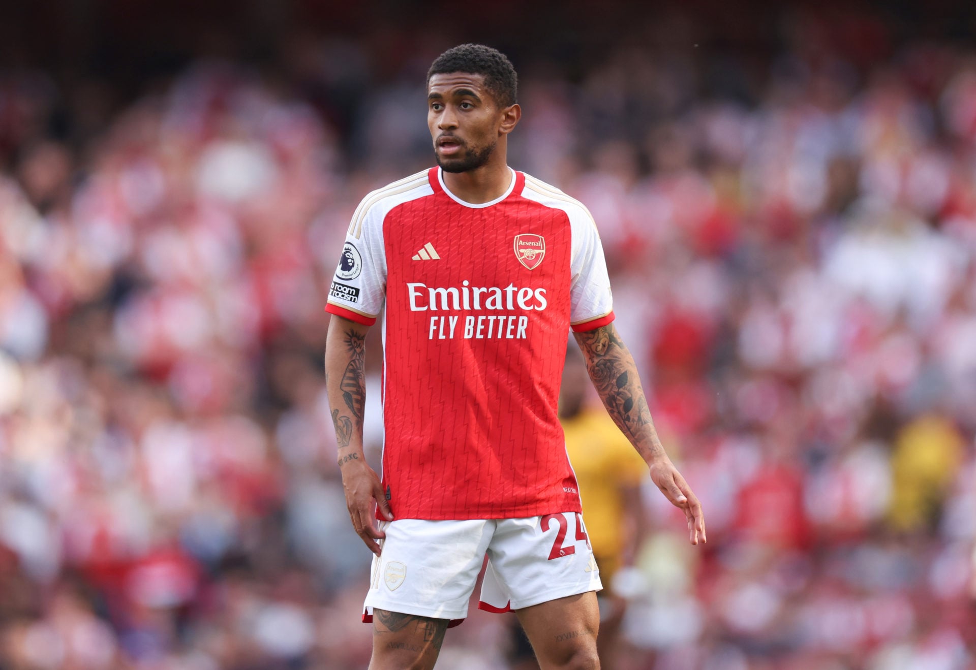 Arsenal FC v Wolverhampton Wanderers - Premier League