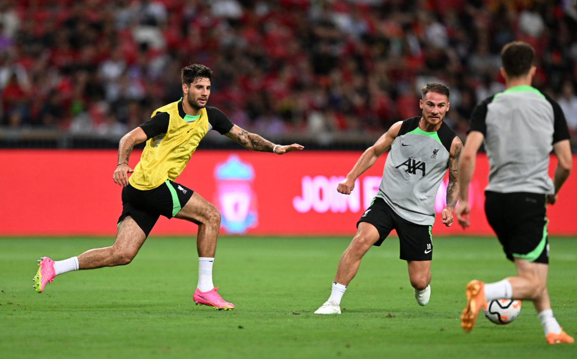 ‘He is very strong’: Alexis Mac Allister says £35m Liverpool player is even stronger than Van Dijk