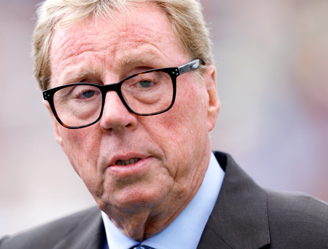 'Stupid'...Harry Redknapp slams 25-year-old Tottenham player