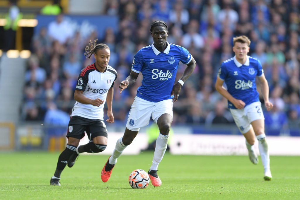 Everton FC v Fulham FC - Premier League