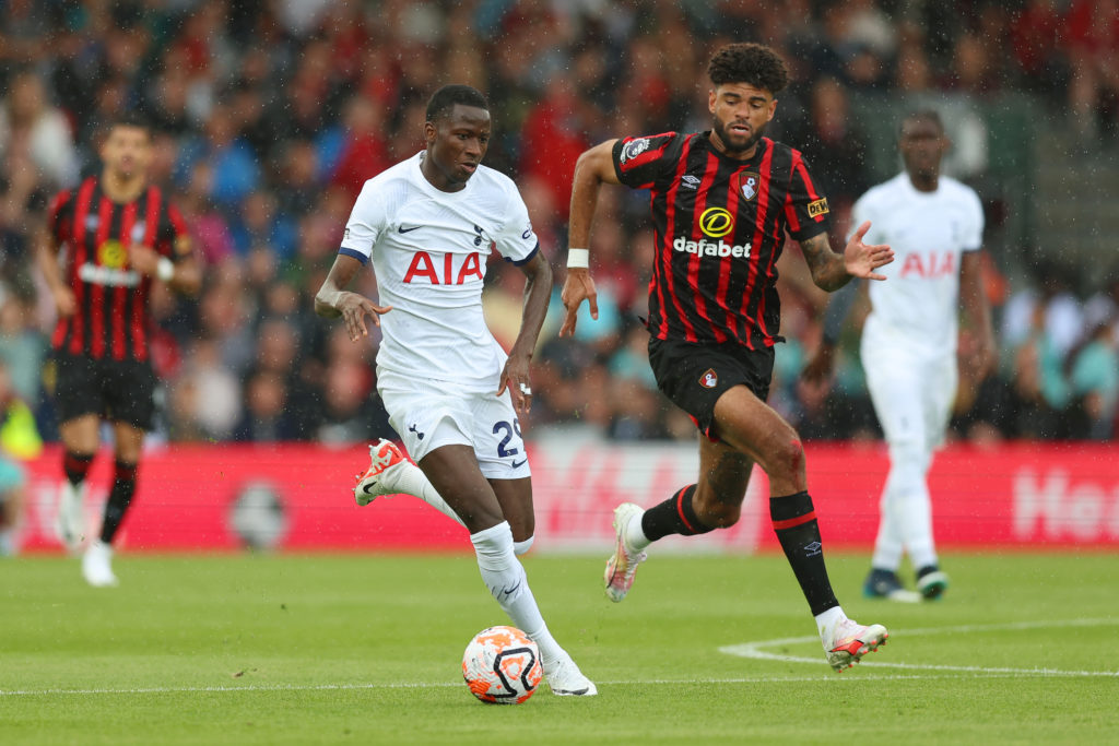 AFC Bournemouth v Tottenham Hotspur - Premier League