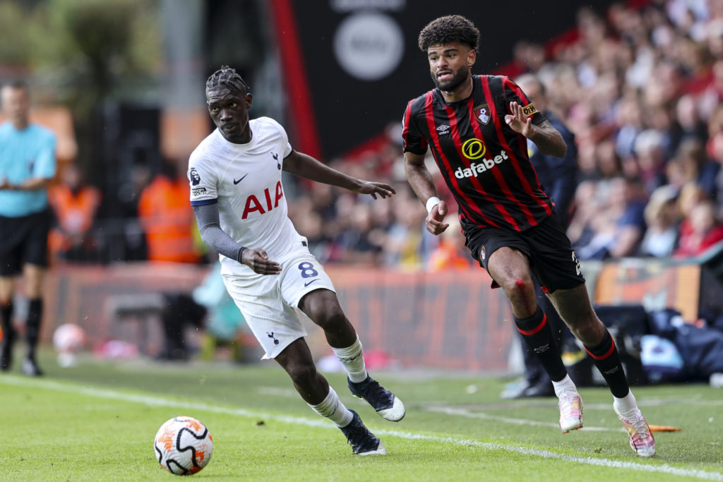 AFC Bournemouth v Tottenham Hotspur - Premier League