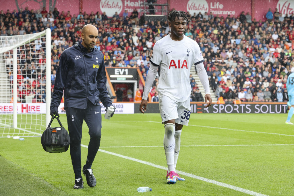 AFC Bournemouth v Tottenham Hotspur - Premier League