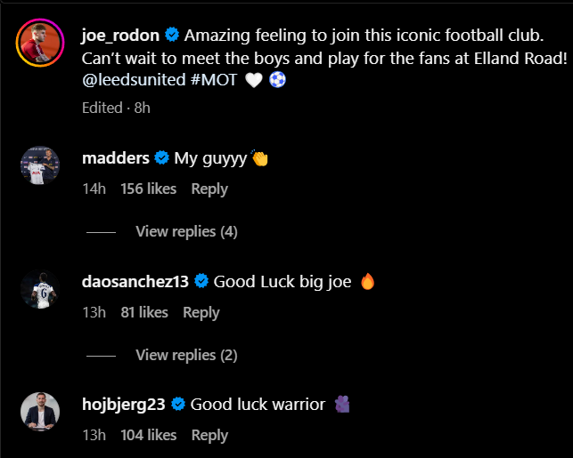 Screengrab of comments under Joe Rodon's Instagram post