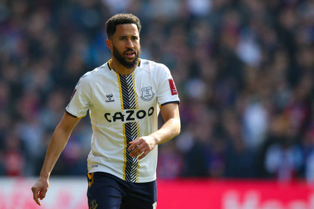 Crystal Palace v Everton: The Emirates FA Cup Quarter Final