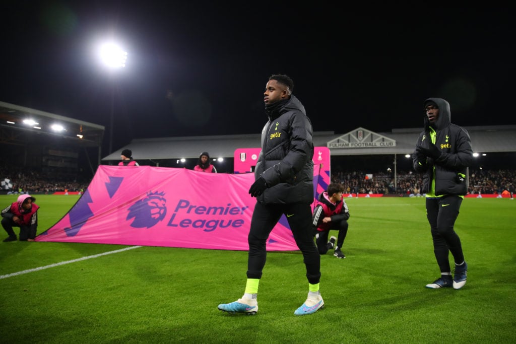 Fulham FC v Tottenham Hotspur - Premier League