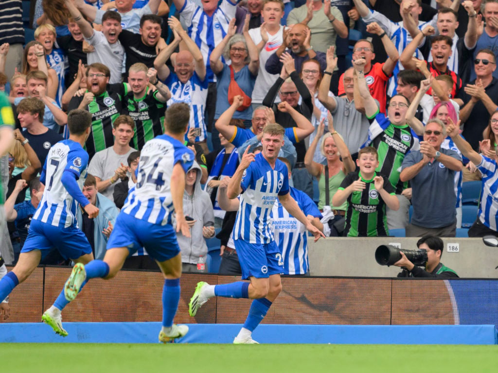 Brighton & Hove Albion v Newcastle United - Premier League