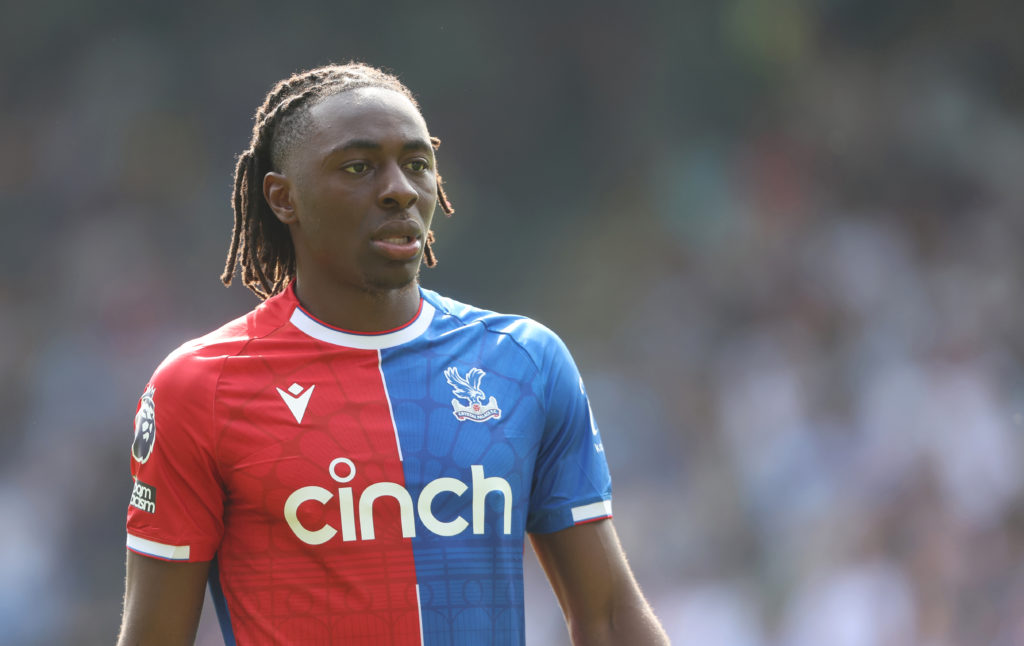 Crystal Palace v Wolverhampton Wanderers - Premier League