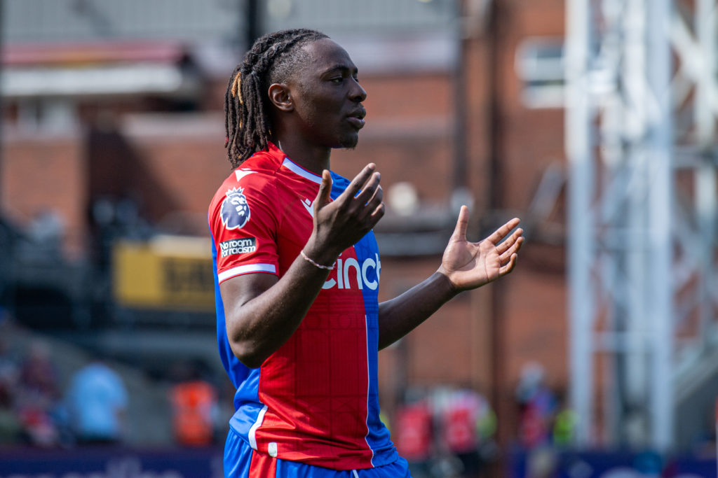 Crystal Palace v Wolverhampton Wanderers - Premier League