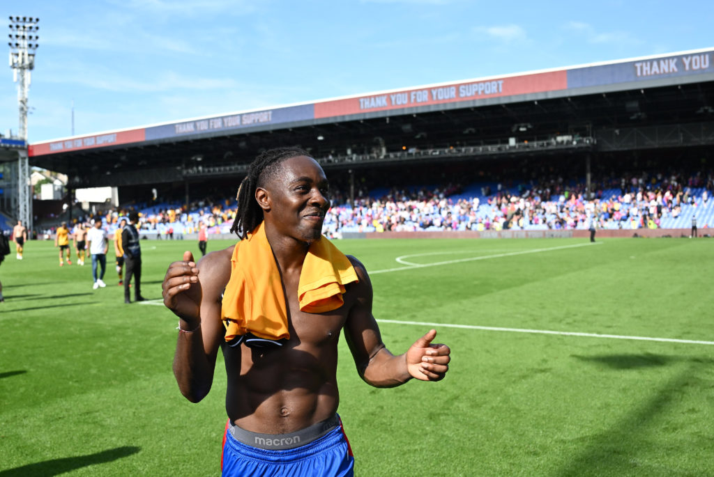 Crystal Palace v Wolverhampton Wanderers - Premier League