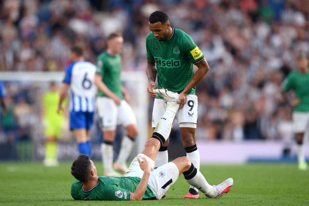 Brighton & Hove Albion v Newcastle United - Premier League