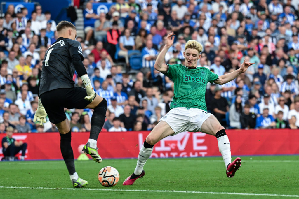 Brighton & Hove Albion v Newcastle United - Premier League