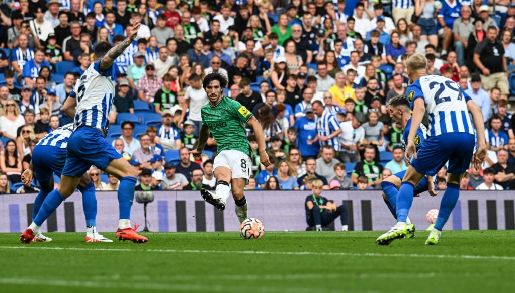 Brighton & Hove Albion v Newcastle United - Premier League