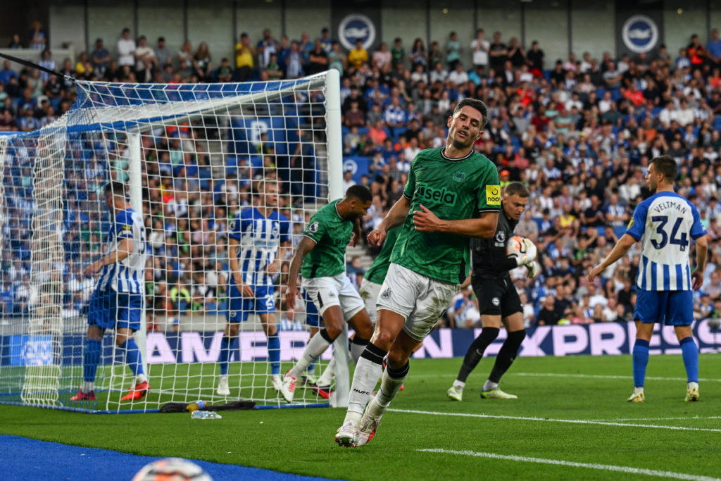 Brighton & Hove Albion v Newcastle United - Premier League
