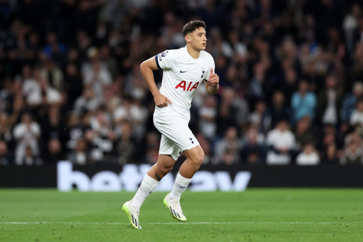 ‘Clearly impressed’: Journalist says 20-year-old Tottenham player has impressed Ange Postecoglou