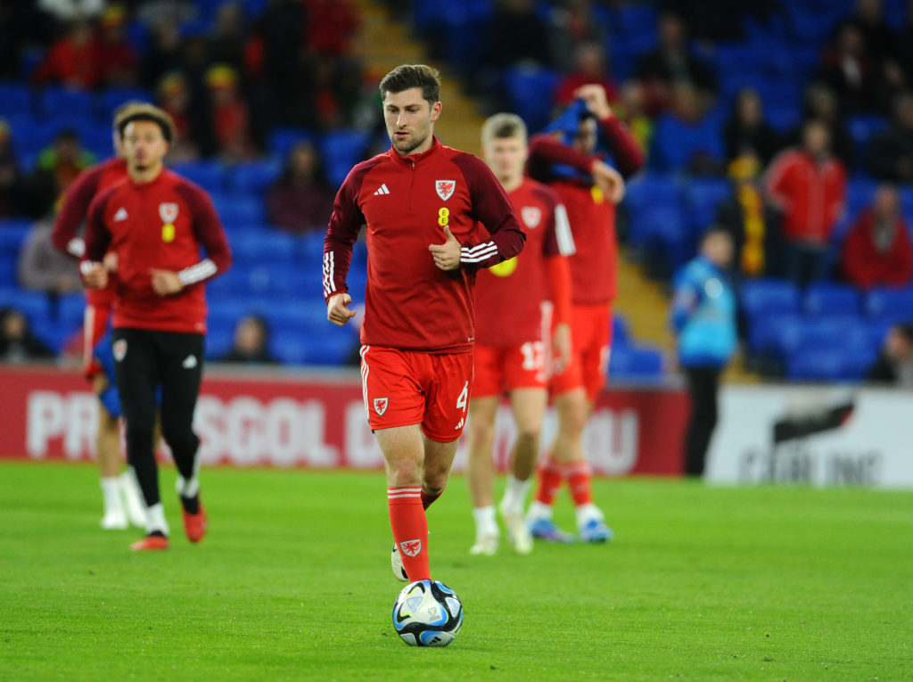 Wales v Croatia: Group D - UEFA EURO 2024 European Qualifiers