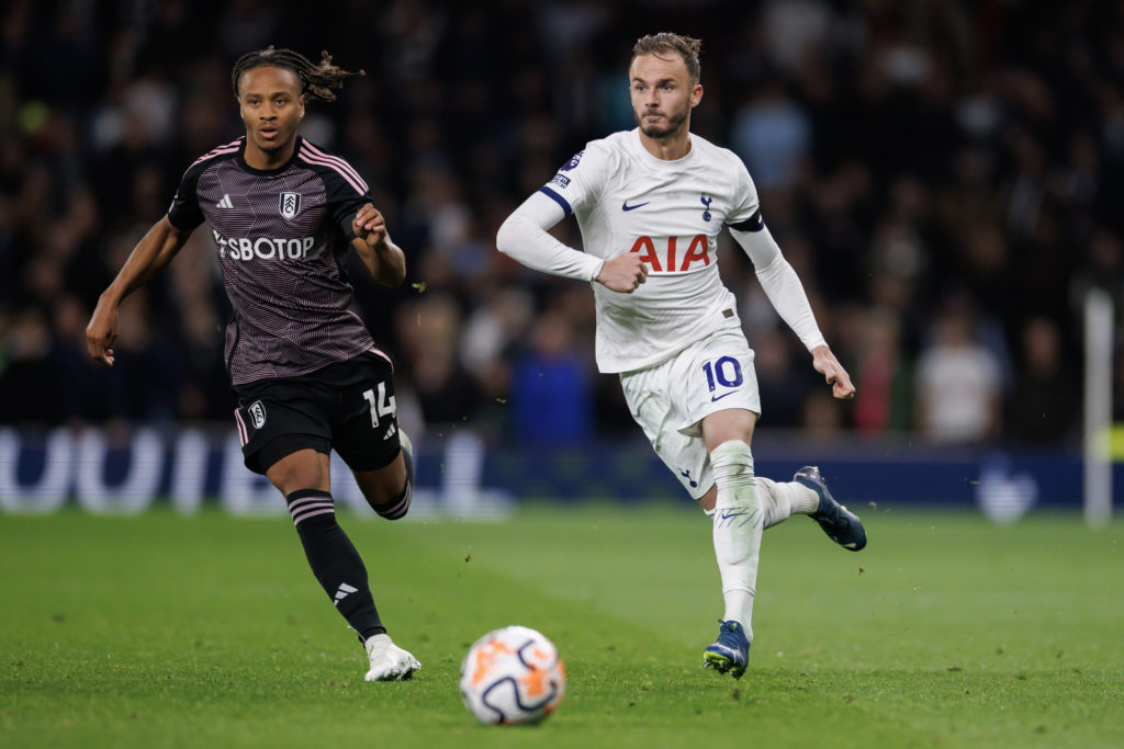 Tottenham Hotspur v Fulham FC - Premier League